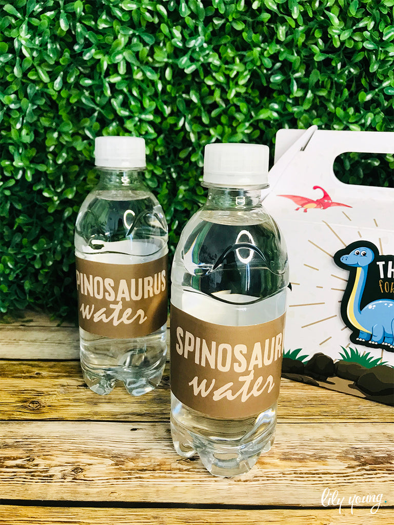 Baby Dino Water Bottle Labels - Pack of 12