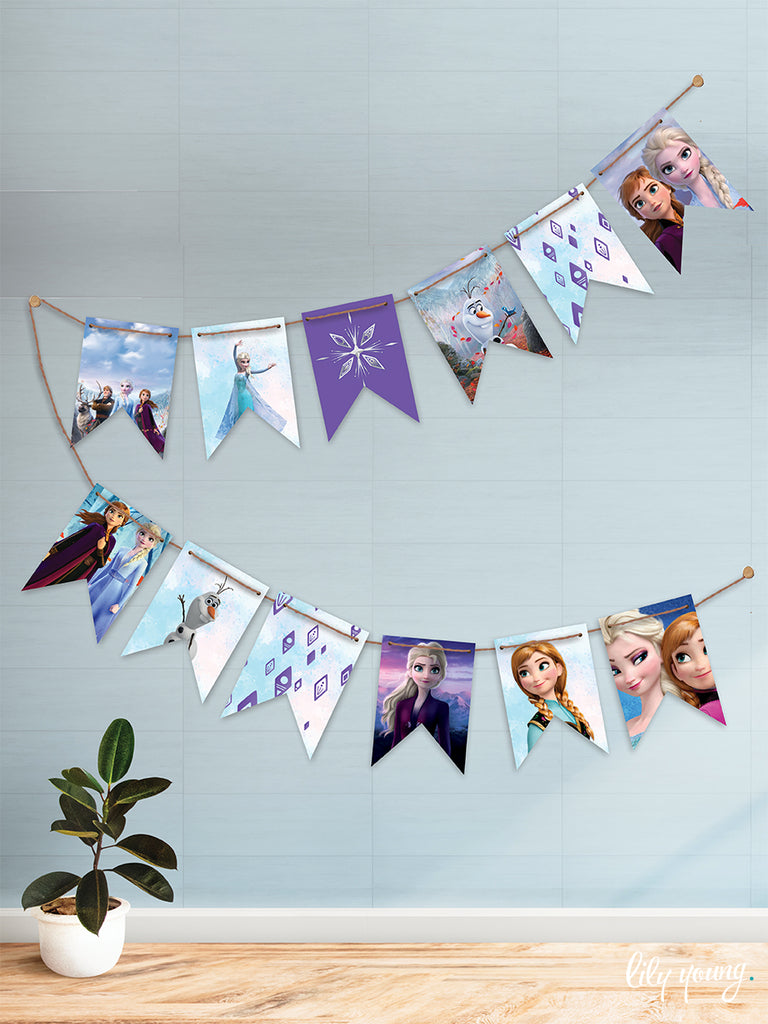 Frozen Bunting - Pack of 1