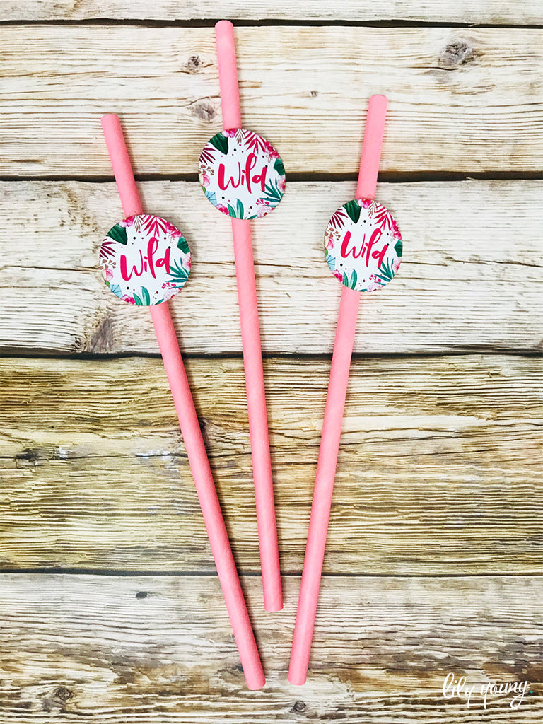 Pink Wild One Straw Flag set - Pack of 12