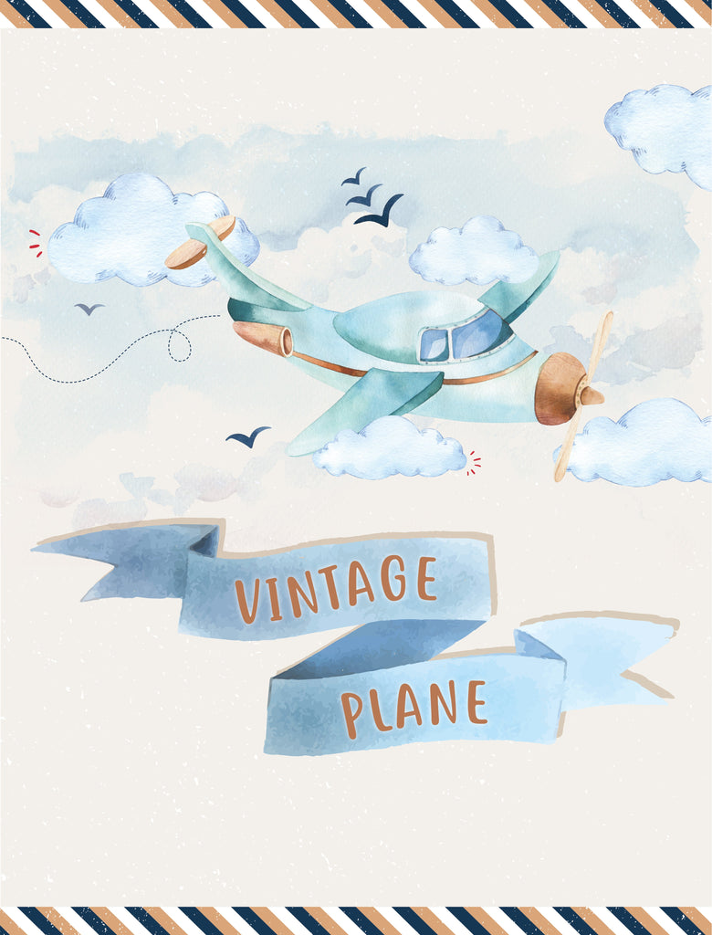 Vintage Plane Party Package