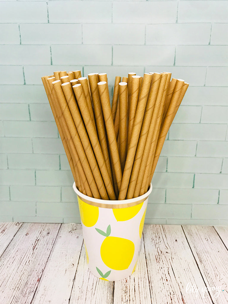 Standard Brown Eco Straws - Pack of 25