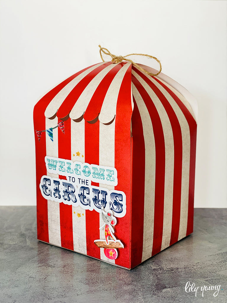 Circus Boxes - Pack of 12