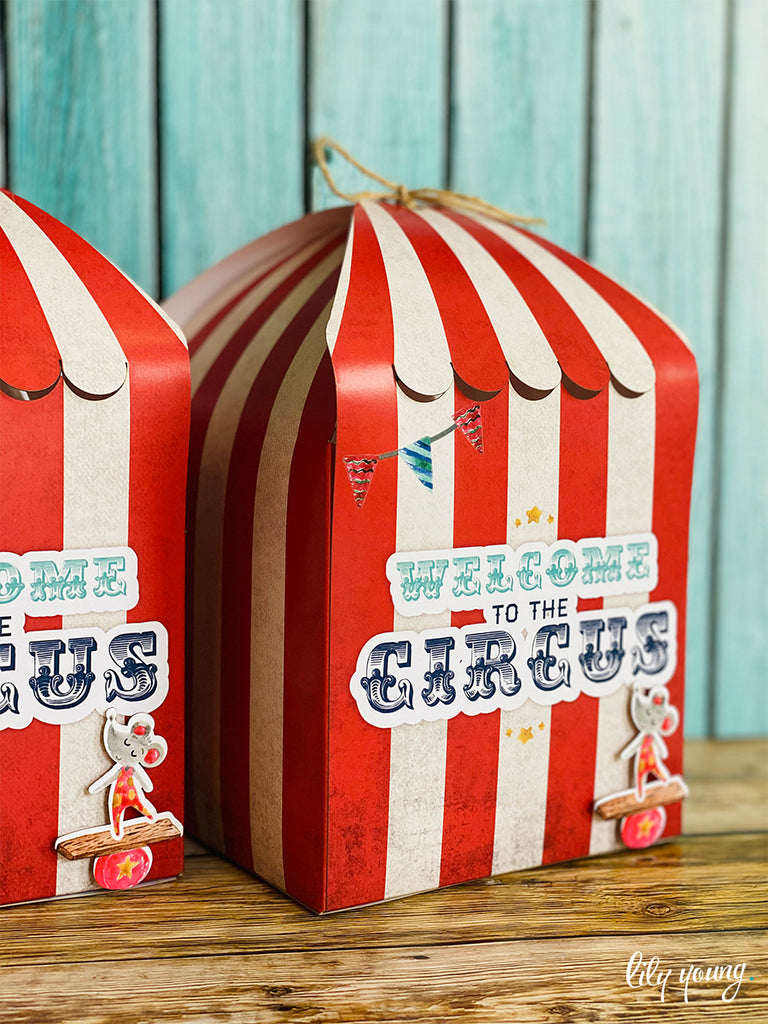Circus Boxes - Pack of 12