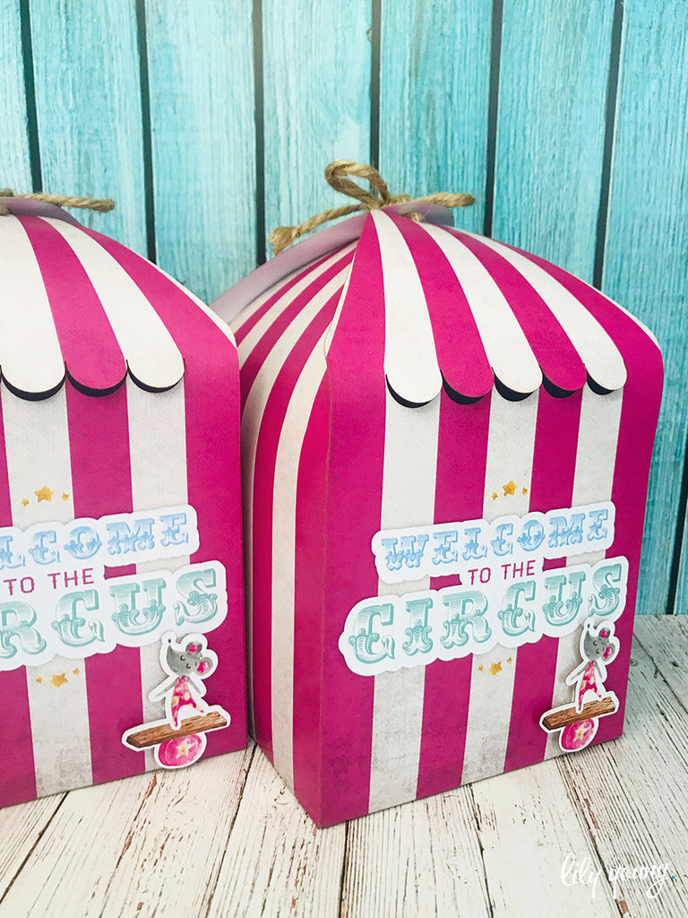 Large Pink Circus Boxes - Pack of 12