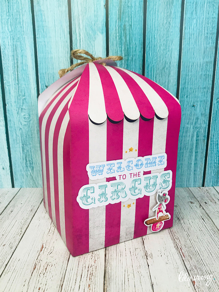Large Pink Circus Boxes - Pack of 12
