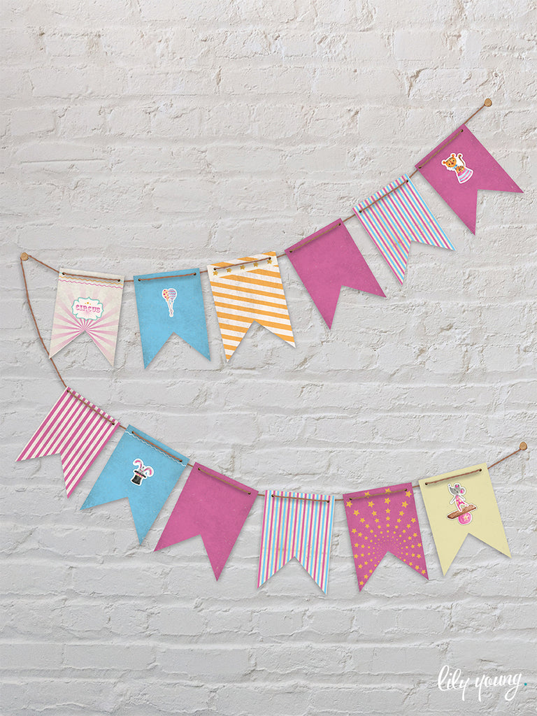 Pink Circus Bunting - Pack of 1