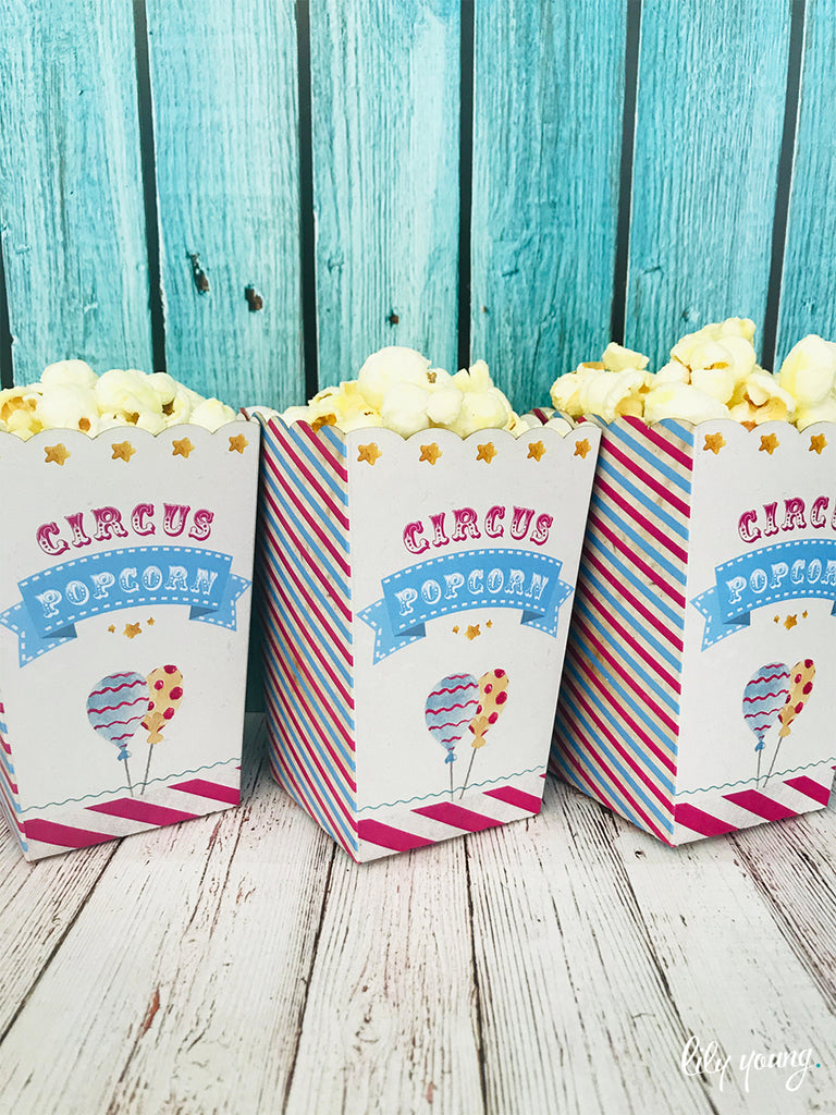 Pink Circus Popcorn boxes - Pack of 12
