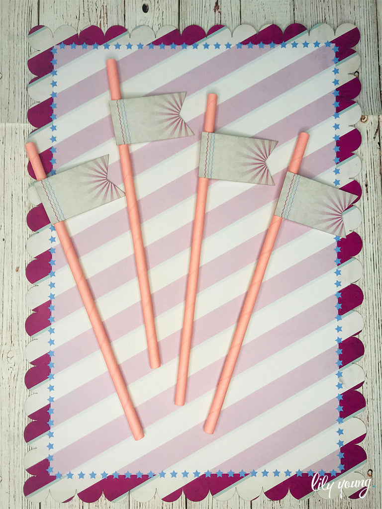 Pink Circus Straw Flag set - Pack of 12