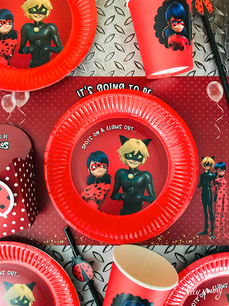 Ladybug & Cat Noir Paper Plate with Sticker - Pack of 12