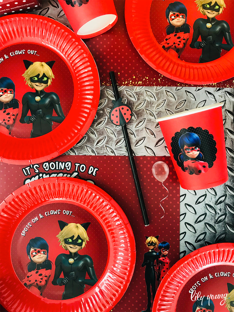 Ladybug & Cat Noir Paper Plate with Sticker - Pack of 12