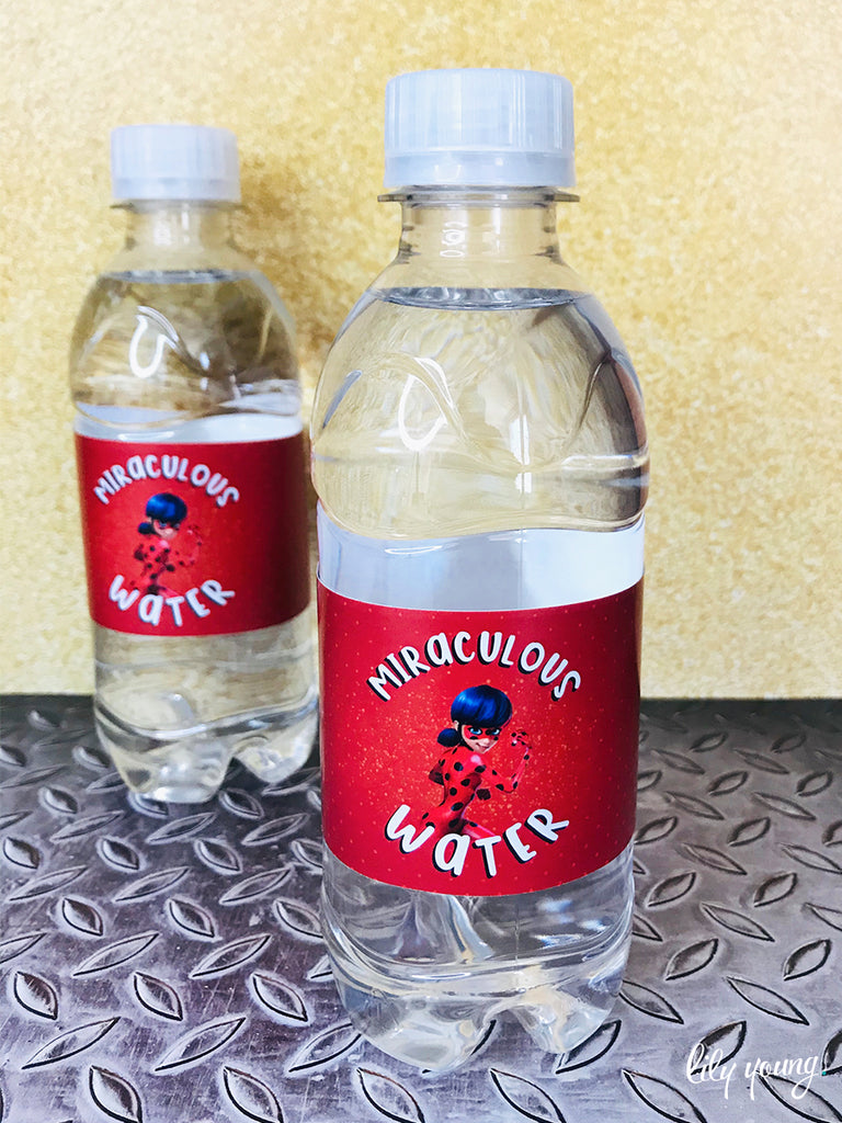 Ladybug & Cat Noir Water Bottle Labels - Pack of 12