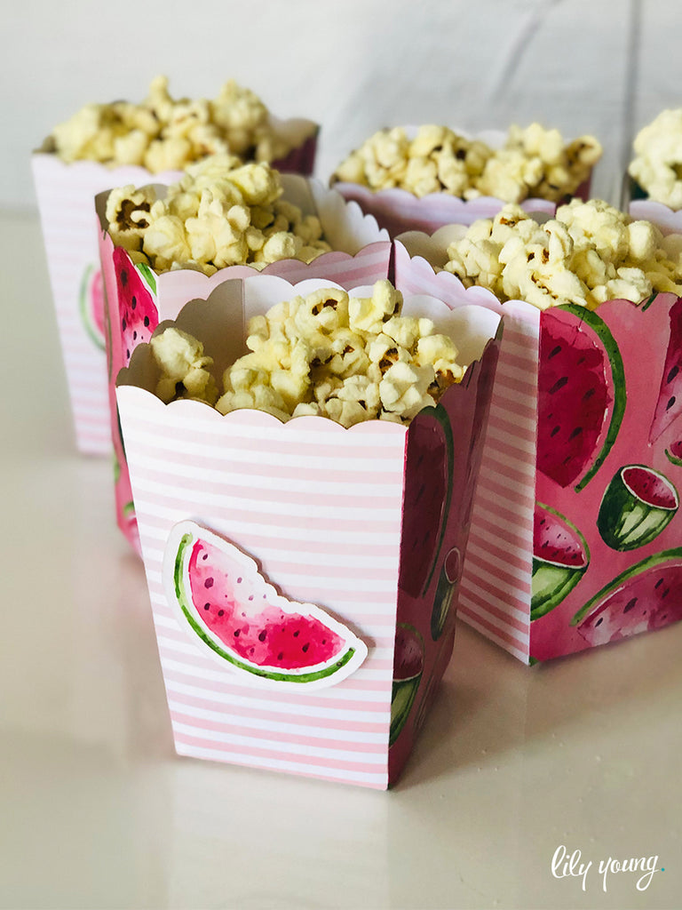 One in a Melon Popcorn boxes - Pack of 12