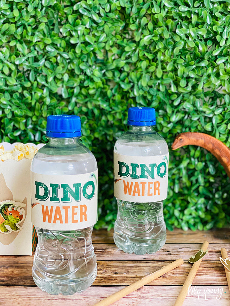 Dinosaur Water Bottle Labels - Pack of 12