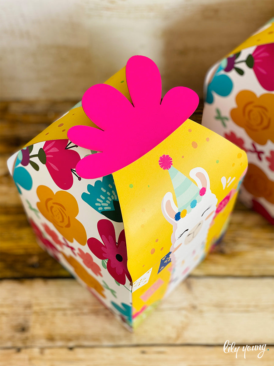 Large Green/Yellow Llama Boxes - Pack of 12 – Lily Young Designs