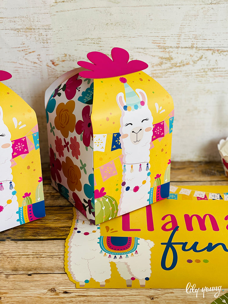 Large Green/Yellow Llama Boxes - Pack of 12