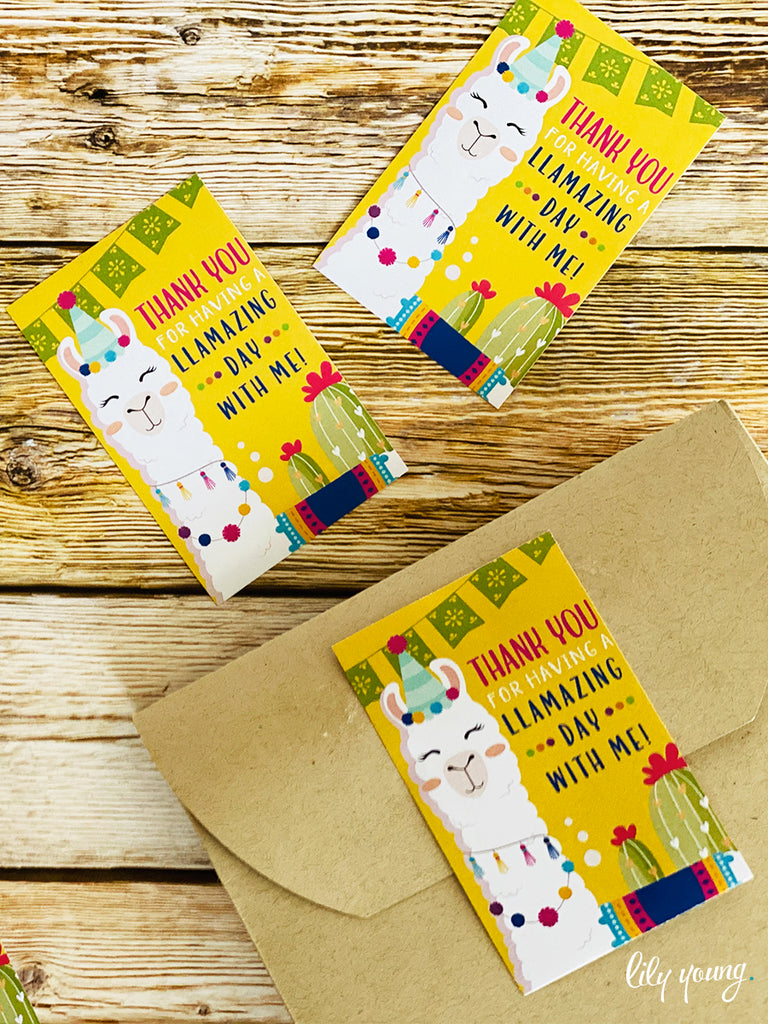 Green/Yellow Llama Party Package
