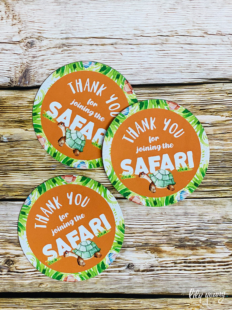Safari Party Package