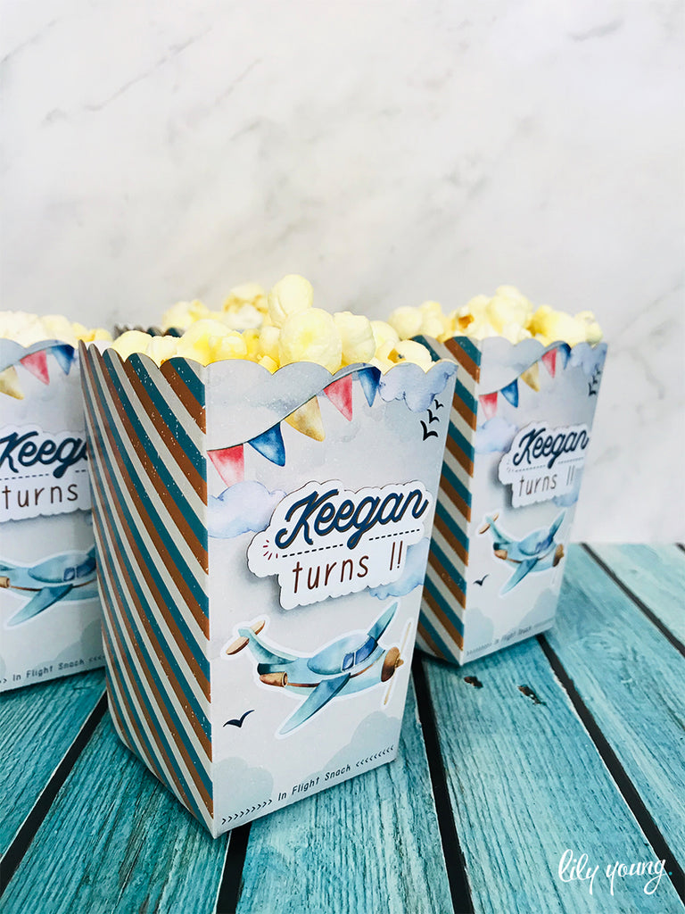 Vintage Plane Popcorn boxes - Pack of 12