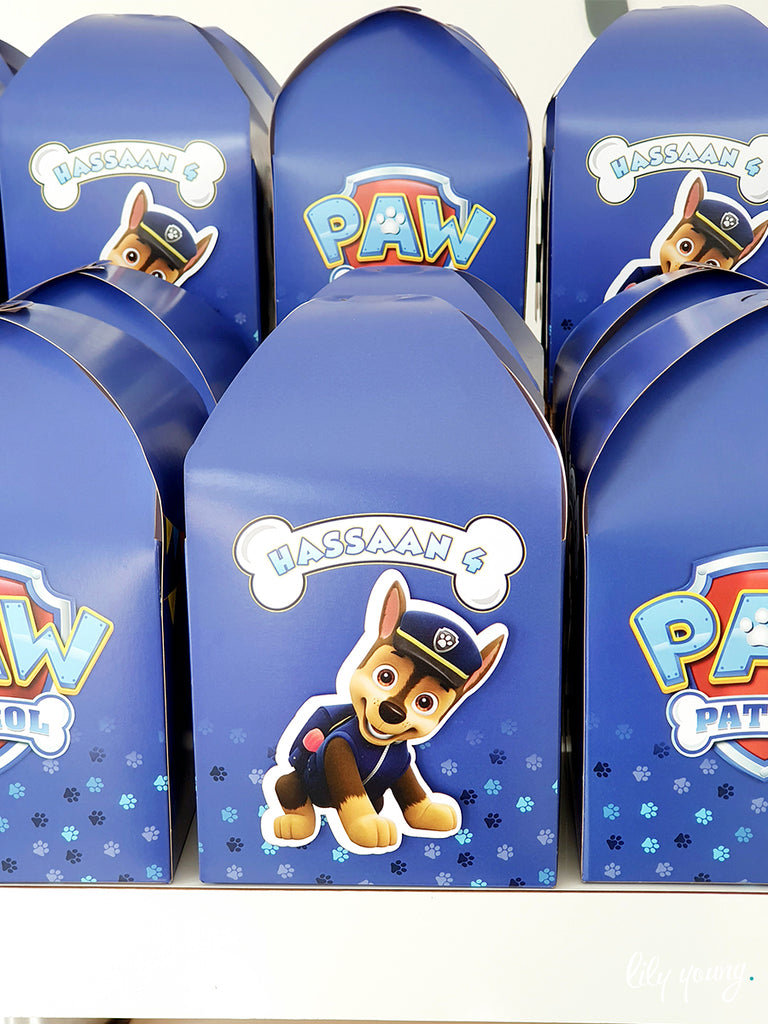 Paw Patrol Boxes - Pack of 12