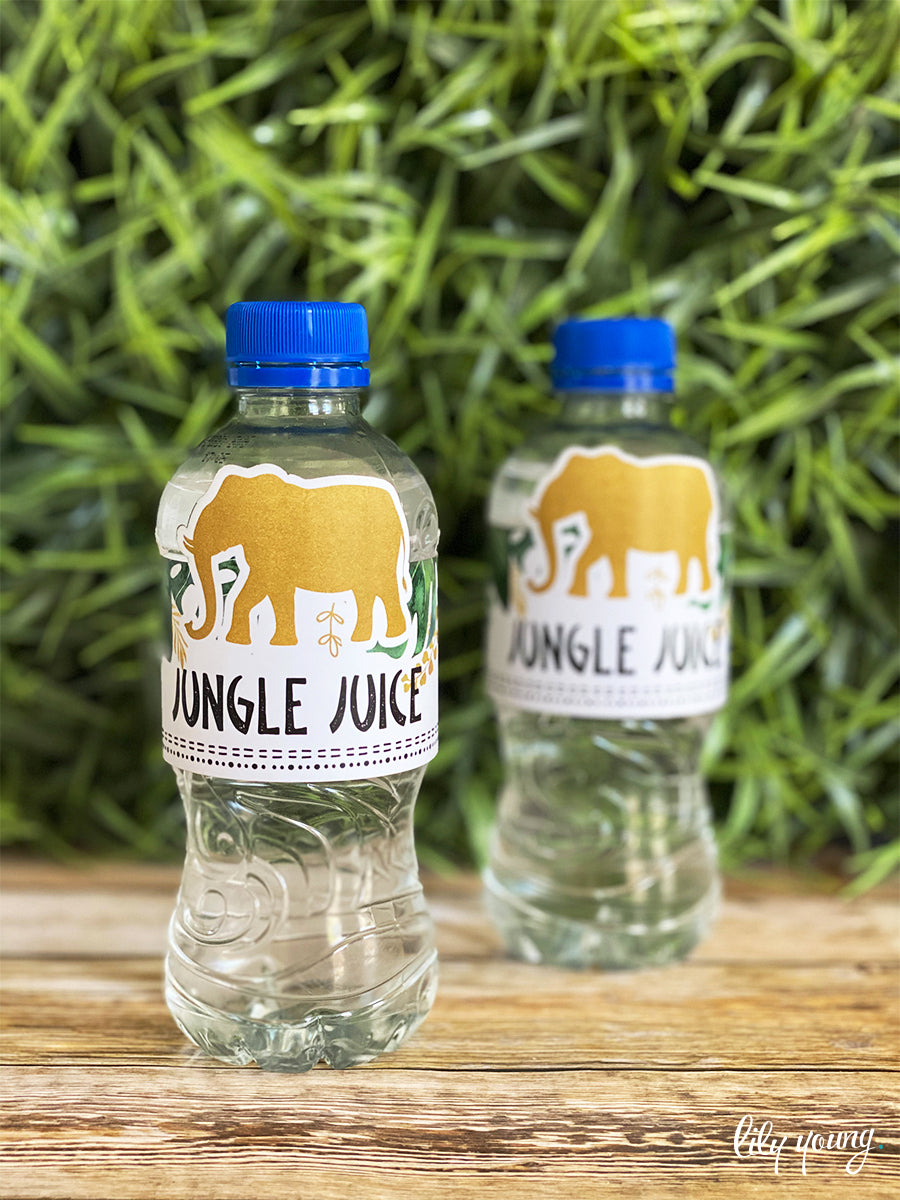 Wild One Water Bottle Labels | Birthday’s | Lily Young – Lily Young Designs